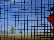 ابطال الملاعب الحلقة 49